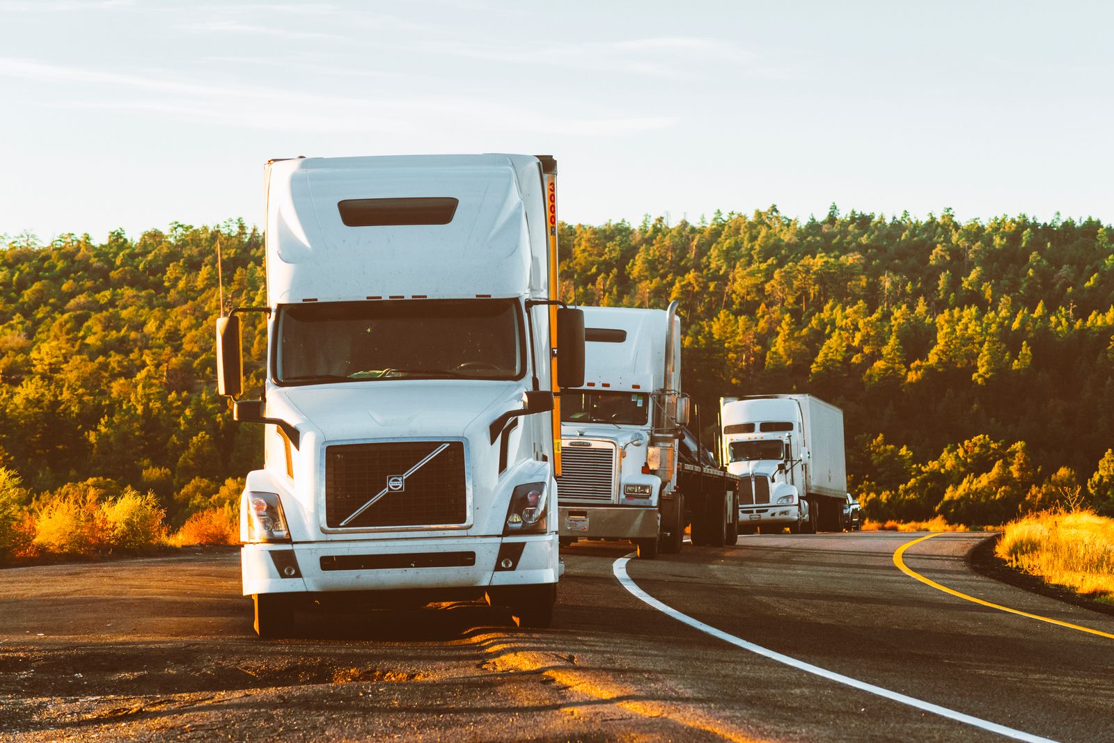White American freight trucks on a tree-lined highway in warm afternoon light